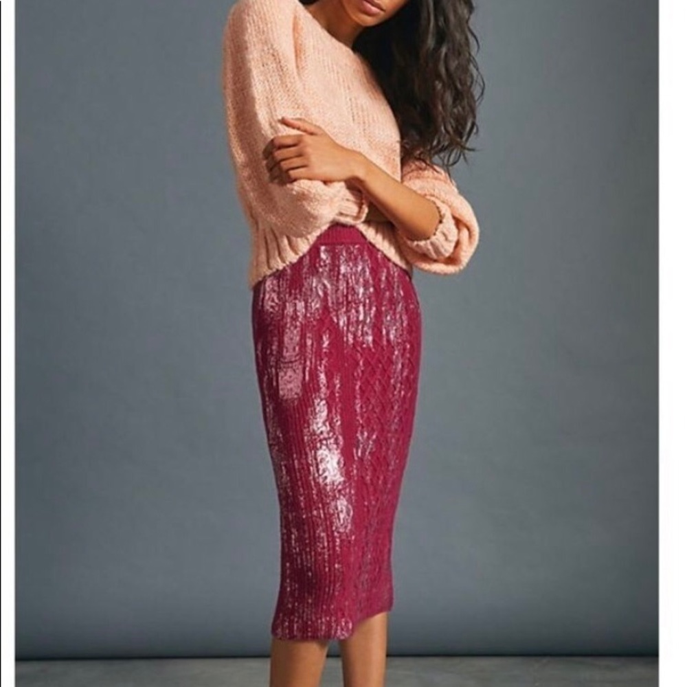 NEVER WORN WITH TAGS Shimmer Sweater Midi Skirt from Anthropologie Size X-Small